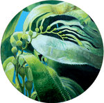 Beaux Arts Brampton Juried Exhibition